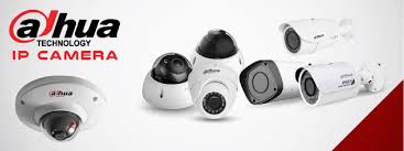 Dahua ip Cams